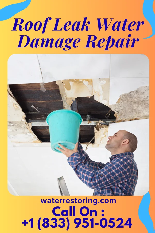 Roof Leak Water Damage Repair in Urbana, MD