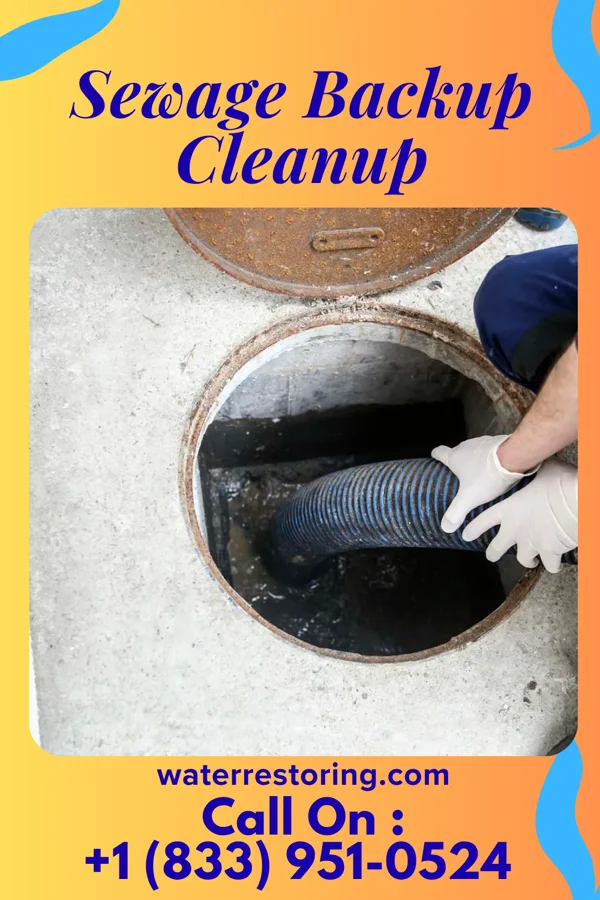 Sewage Backup Cleanup in Urbana, MD