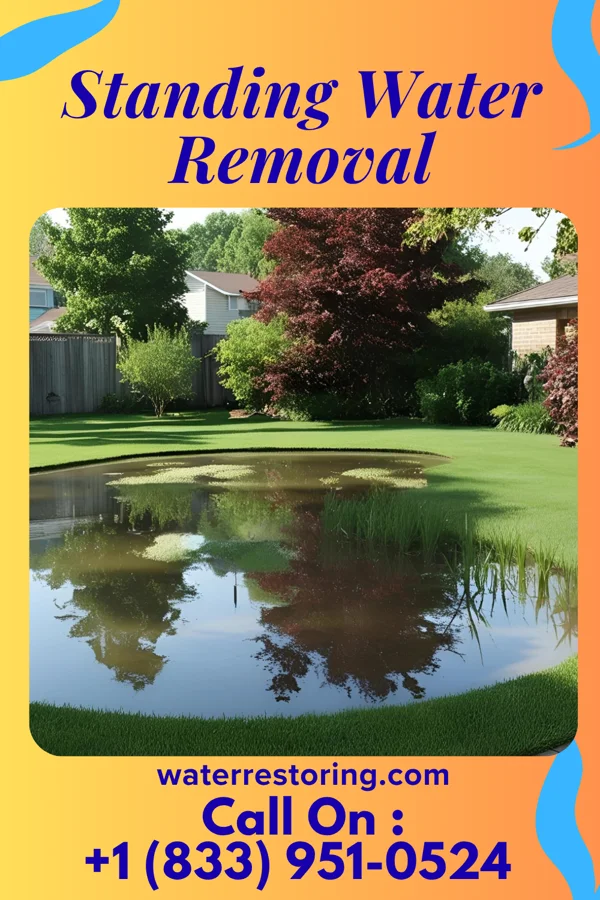Standing Water Removal in Urbana, MD